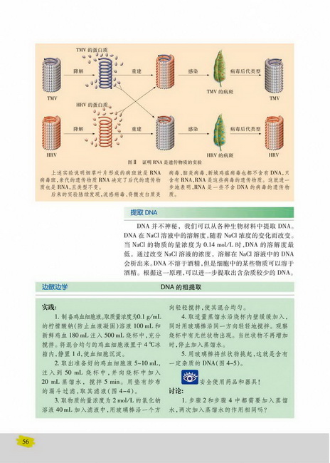 提取DNA(第56页)