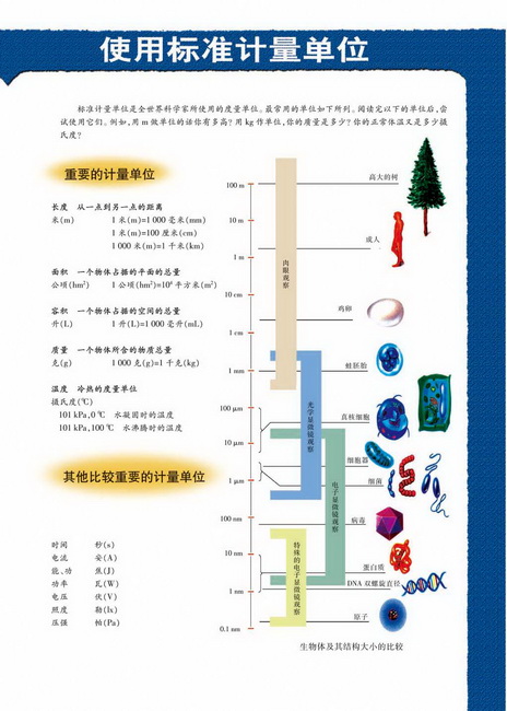 生物进化的基本历程生物进化与生物多样性的形成(第117页)