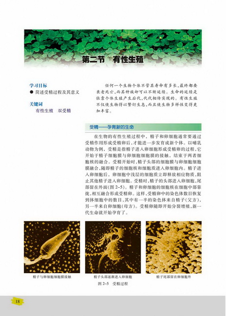 第二节 有性生殖(第18页)