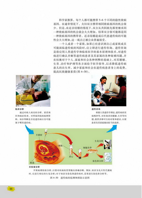 遗传病的监测和预防(第88页)