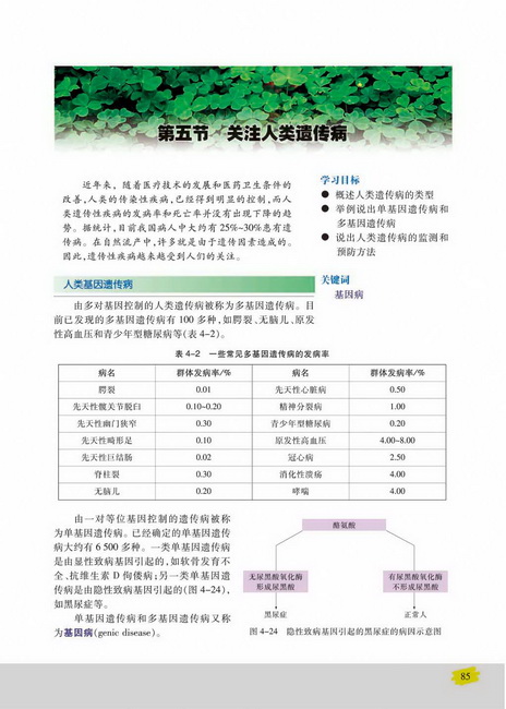 第五节 关注人类遗传病(第85页)
