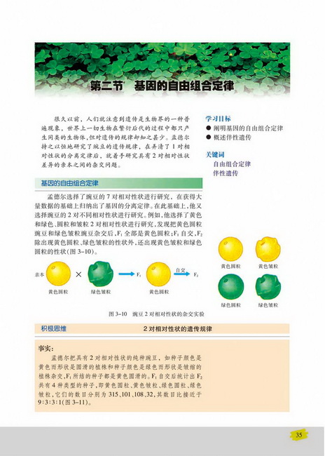 第二节 基因的自由组合定律(第35页)