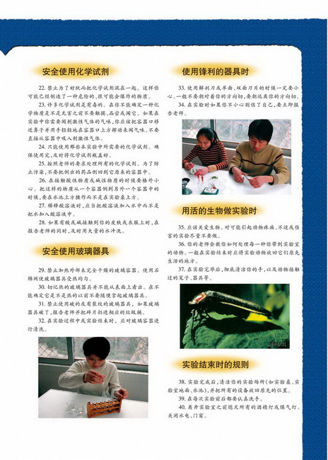 生物进化的基本历程生物进化与生物多样性的形成(第115页)