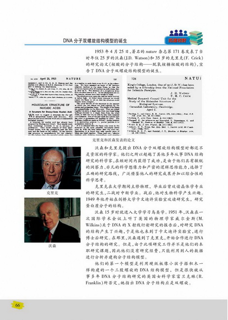 DNA的复制(第66页)