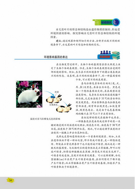 基因的分离定律的应用(第34页)