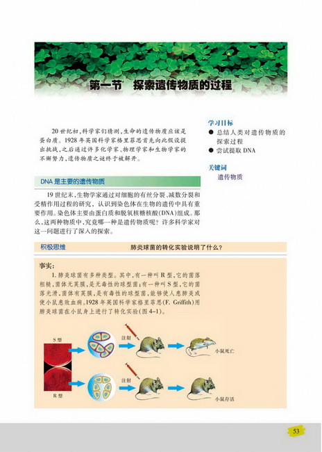 第一节 探索遗传物质的过程(第53页)