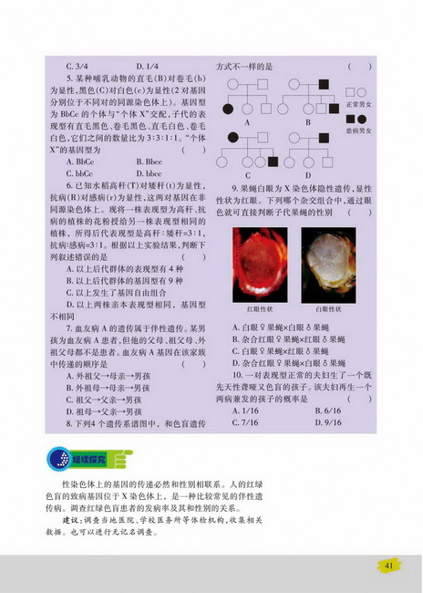 性别决定和伴性遗传(第41页)