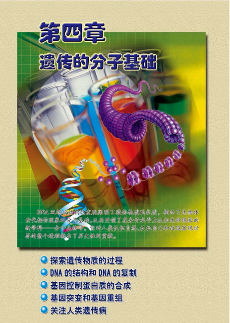 第四章 遗传的分子基础(第52页)