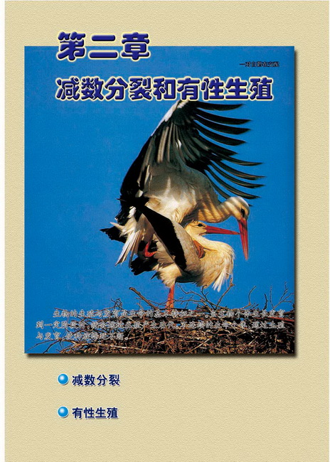 第二章 减数分裂和有性生殖(第11页)