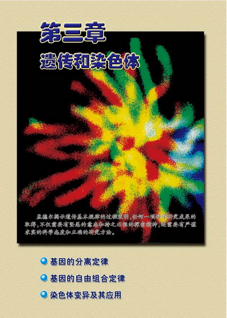 第三章 遗传和染色体(第26页)