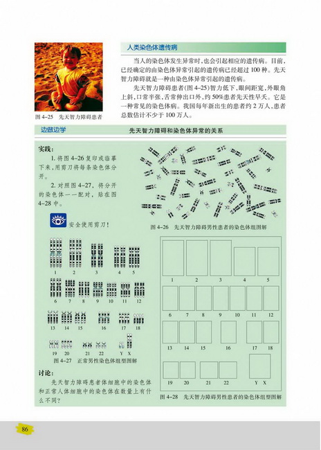 人类染色体遗传病(第86页)