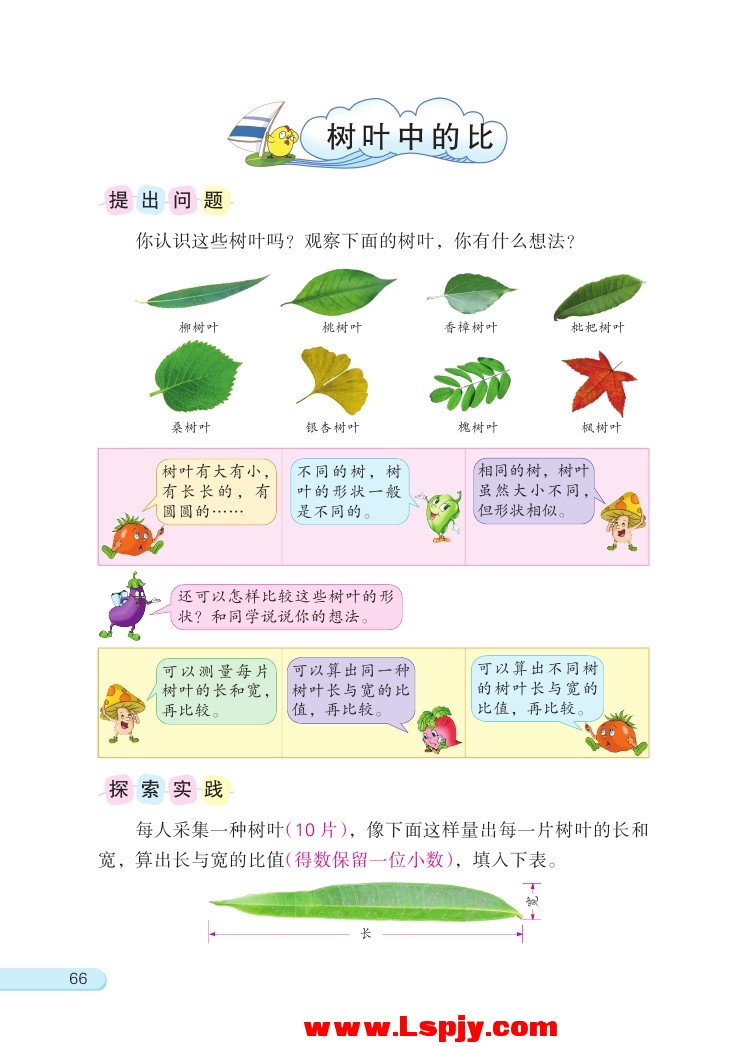 树叶中的比(第66页)
