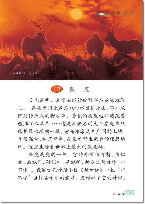 17、麋鹿(第97页)