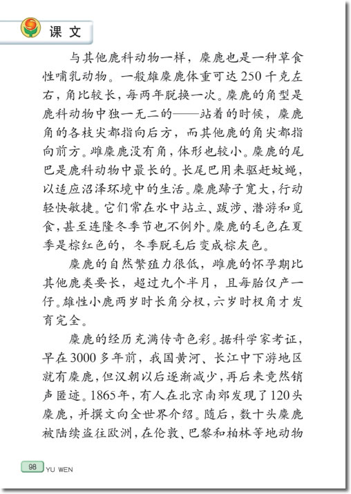 17、麋鹿(第98页)