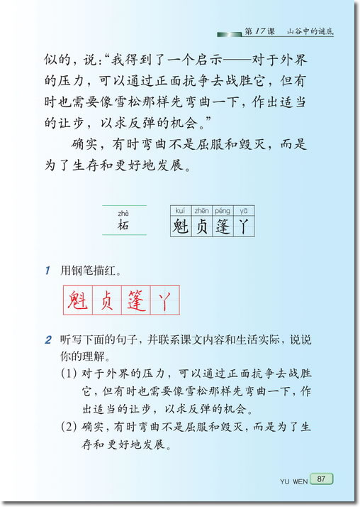 17、山谷中的谜底(第87页)