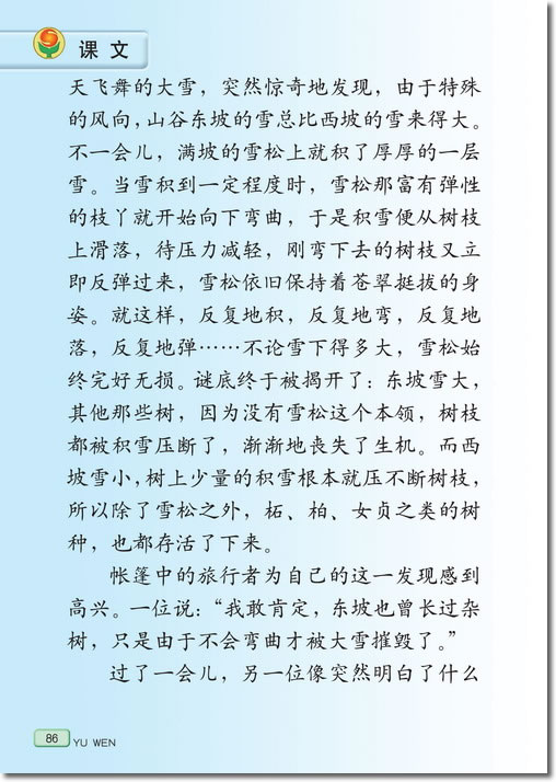 17、山谷中的谜底(第86页)