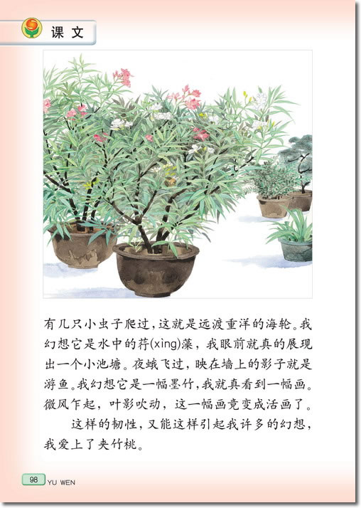 19、夹竹桃(第98页)