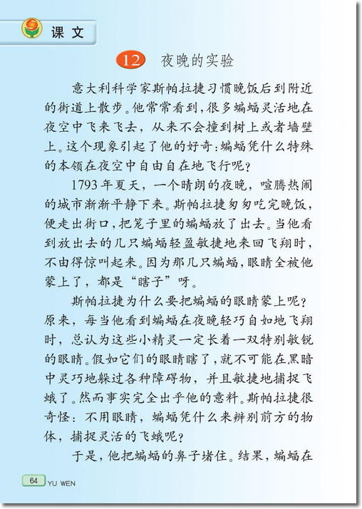 12、夜晚的实验(第64页)