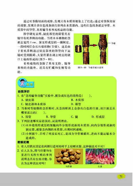 第四节 植物茎的输导功能(第71页)