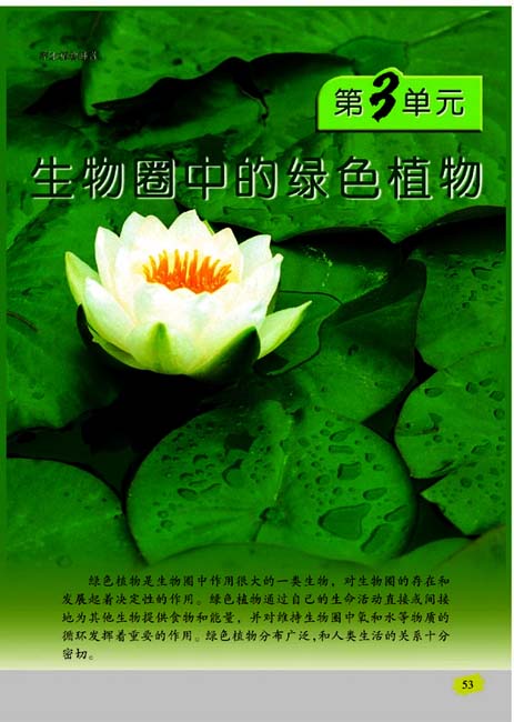 第3单元 生物圈中的绿色植物(第53页)