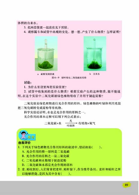 第三节 植物光合作用的实质(第89页)