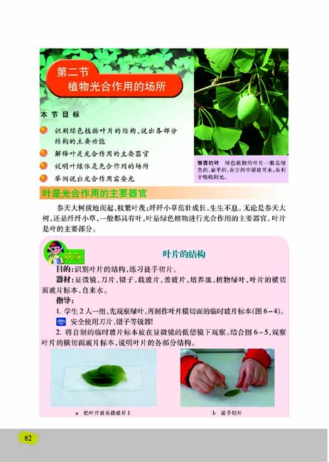 第二节 植物光合作用的场所(第82页)