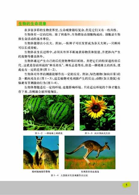 第一节 我们周围的生物(第5页)