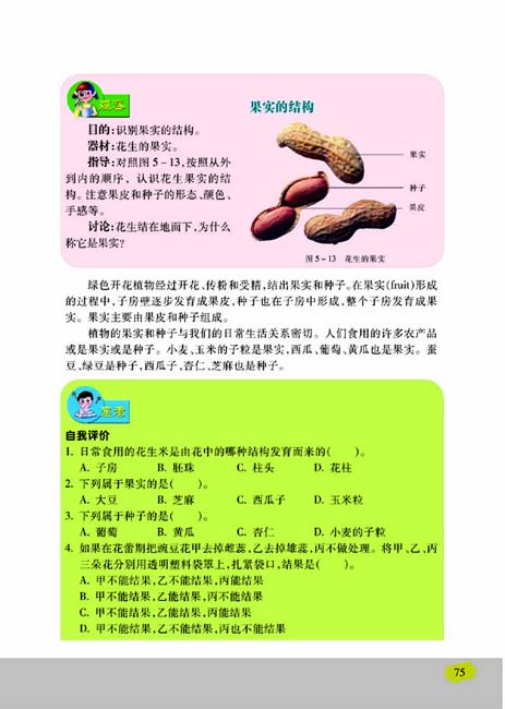 第五节 植物的开花和结果(第75页)