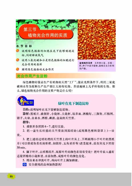 第三节 植物光合作用的实质(第86页)
