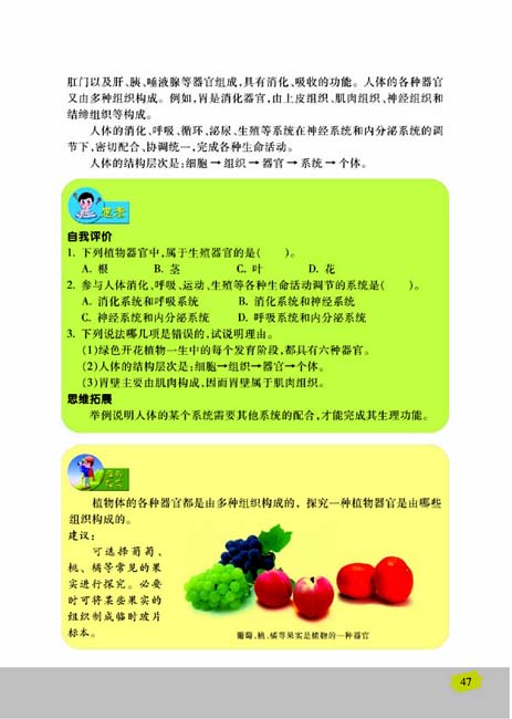第二节 多细胞生物体的组成(第47页)