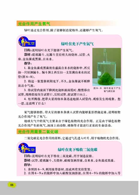 第三节 植物光合作用的实质(第88页)