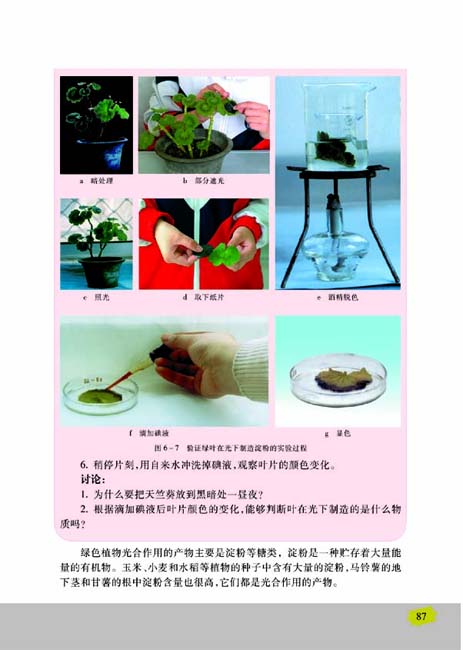第三节 植物光合作用的实质(第87页)