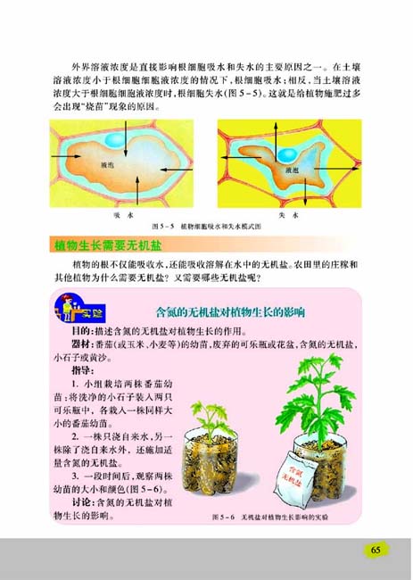 第三节 植物生长需要水和无机盐(第65页)