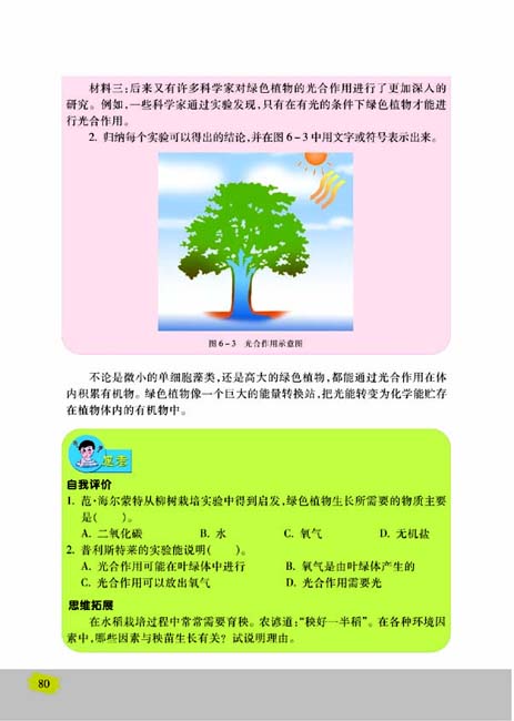 第一节 植物光合作用的发现(第80页)
