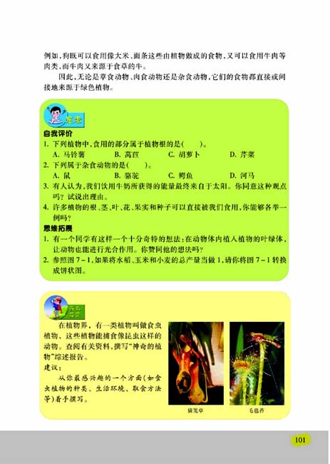 第一节 绿色植物是食物之源(第101页)