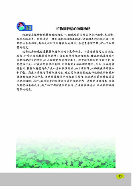 第一节 植物细胞的结构和功能(第35页)
