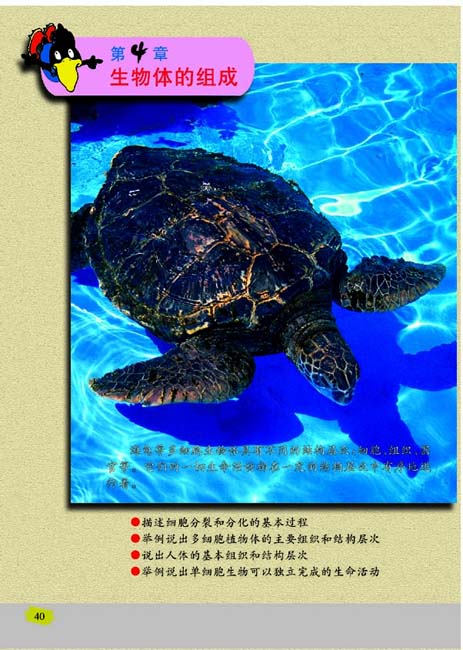 第4章 生物体的组成(第40页)