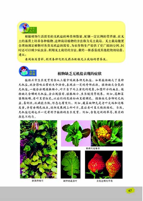 第三节 植物生长需要水和无机盐(第67页)