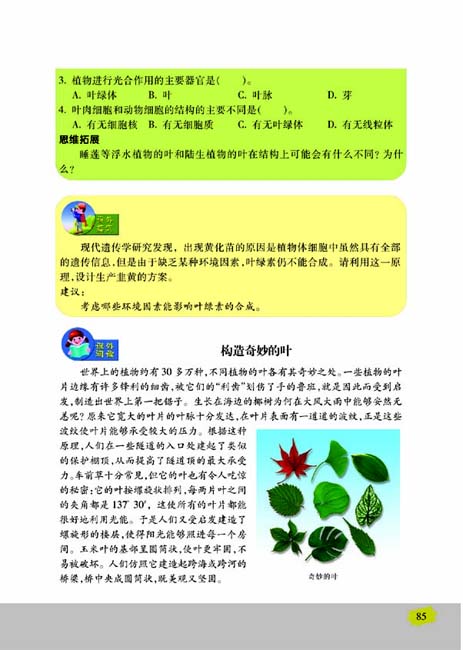 第二节 植物光合作用的场所(第85页)