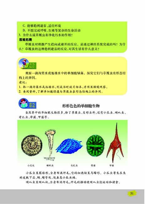 第三节 单细胞生物(第51页)