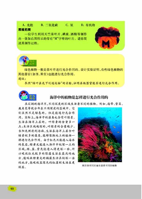 第三节 植物光合作用的实质(第90页)