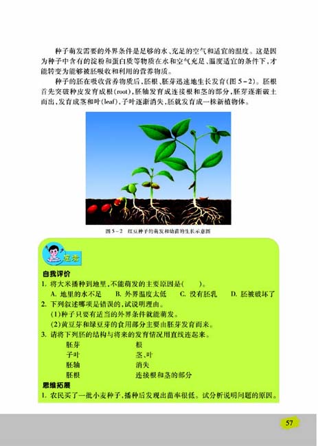 第一节 植物种子的萌发(第57页)