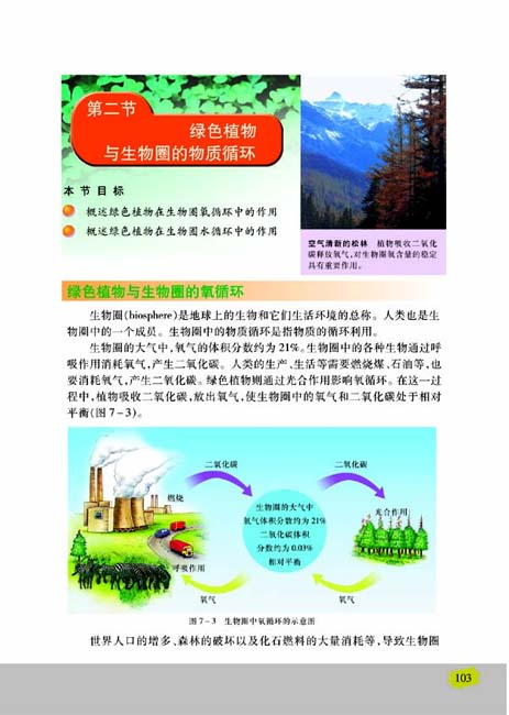 第二节 绿色植物与生物圈的物质循环(第103页)