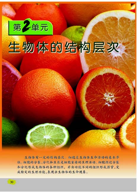 第2单元 生物体的结构层次(第30页)