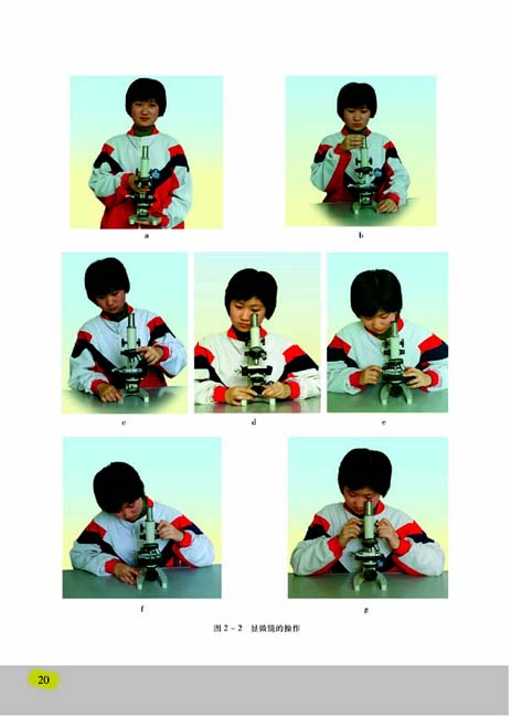 第一节 探索生命的器具(第20页)