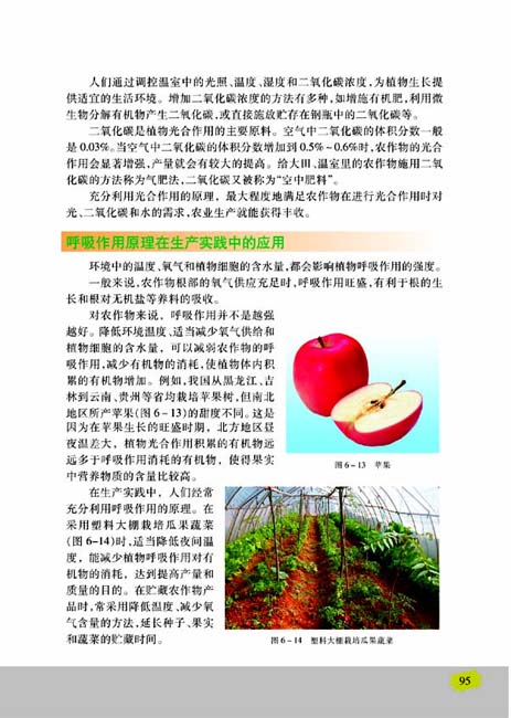第五节 光合作用和呼吸作用原理的应用(第95页)