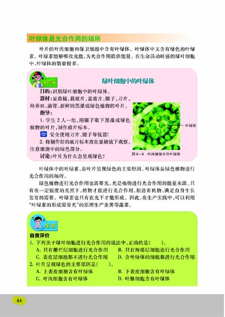 第二节 植物光合作用的场所(第84页)