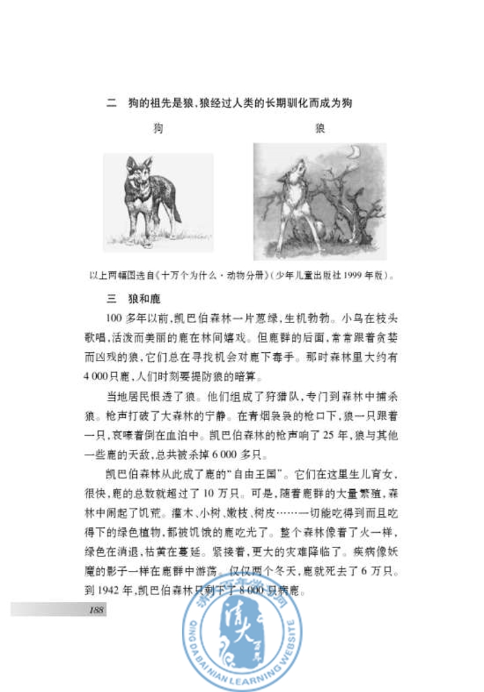专题 狼(第181页)