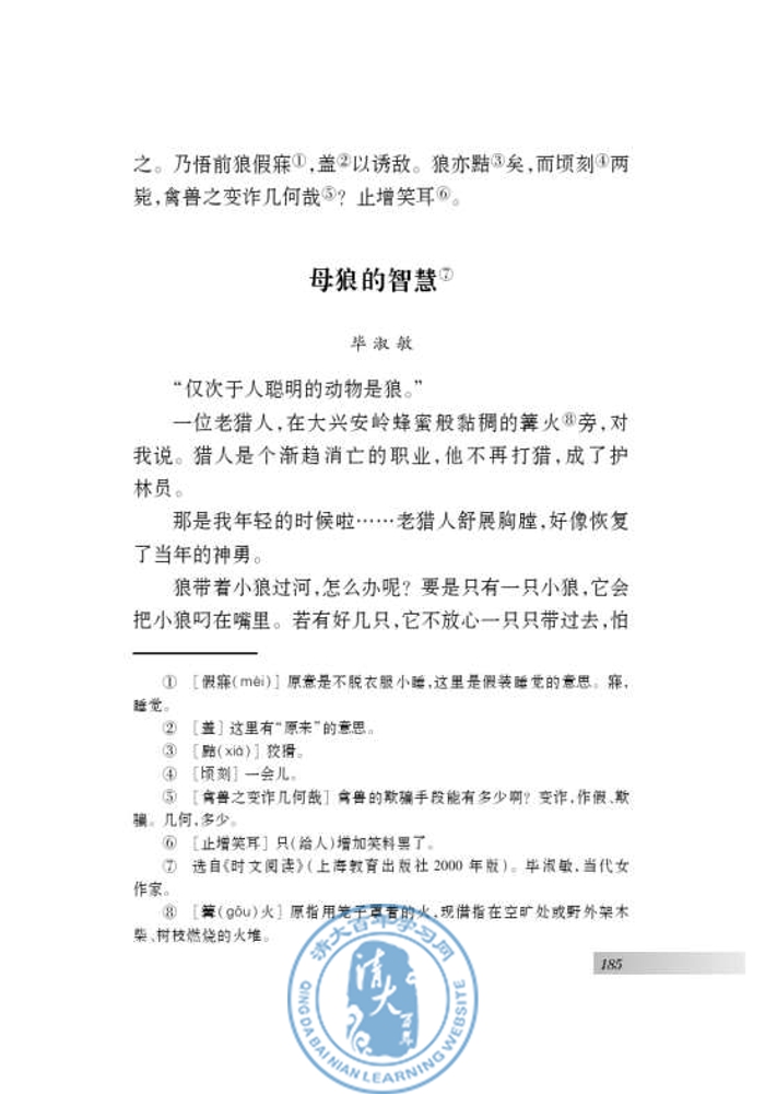 专题 狼(第178页)