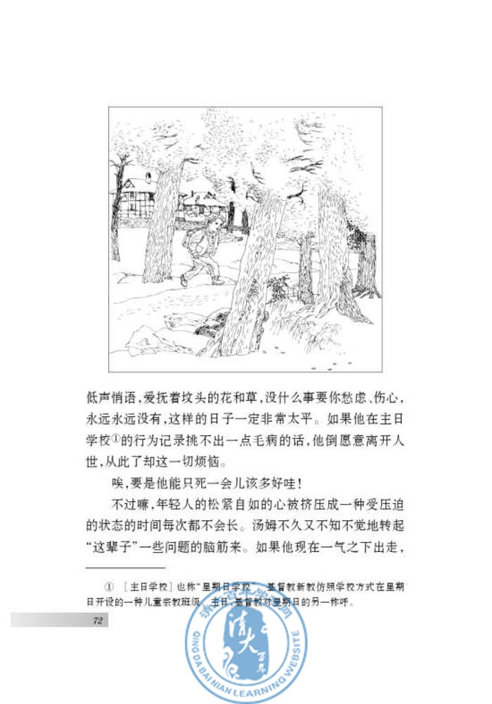 名著推荐与阅读 《汤姆 索亚历险记》(第70页)